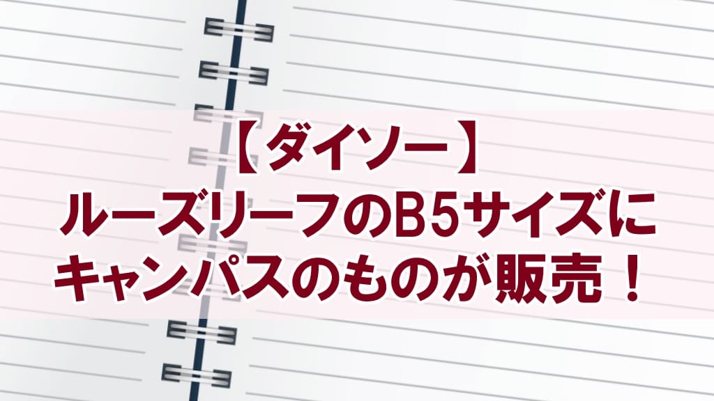 B5 ルーズリーフ・レポート用紙まとめ売り - 通販 - nickhealey.co.uk